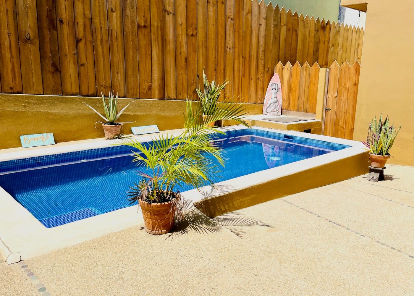 Bonobo House con su alberca privada